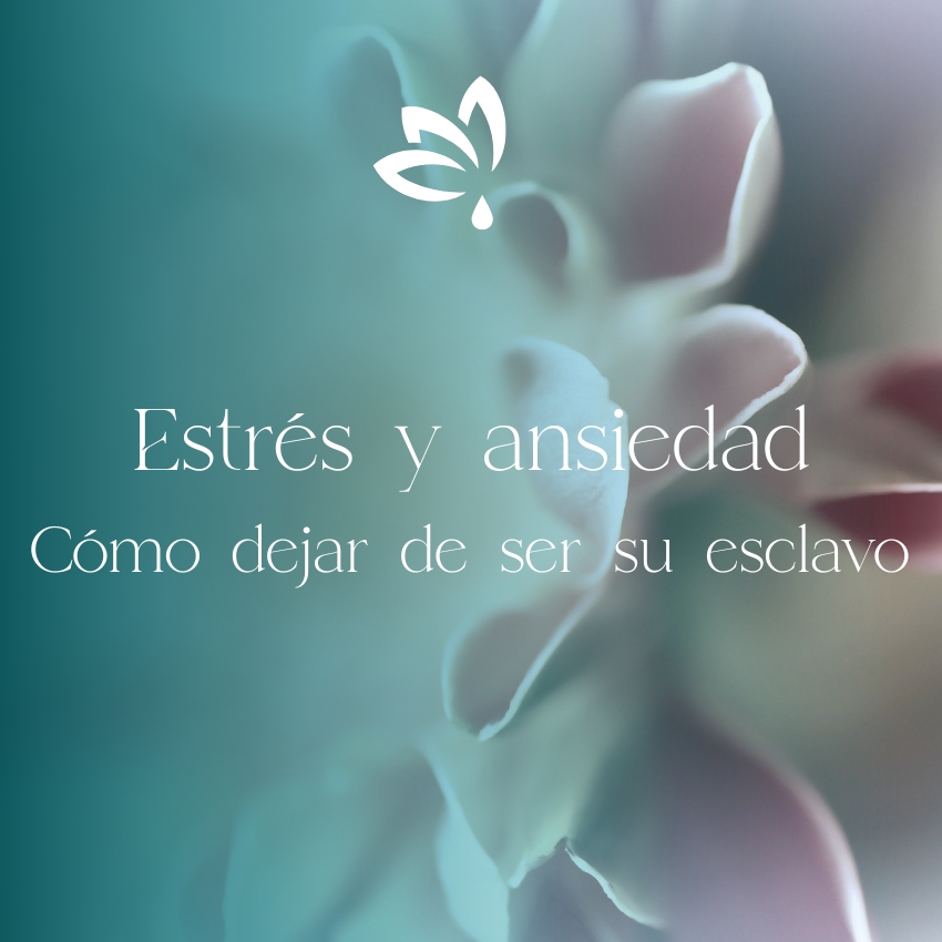 Estrés y ansiedad: cómo dejar de ser su esclavo