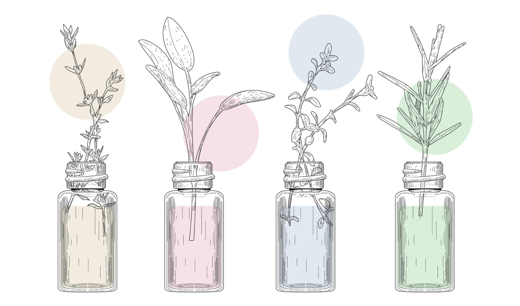 Terapia con Flores de Bach