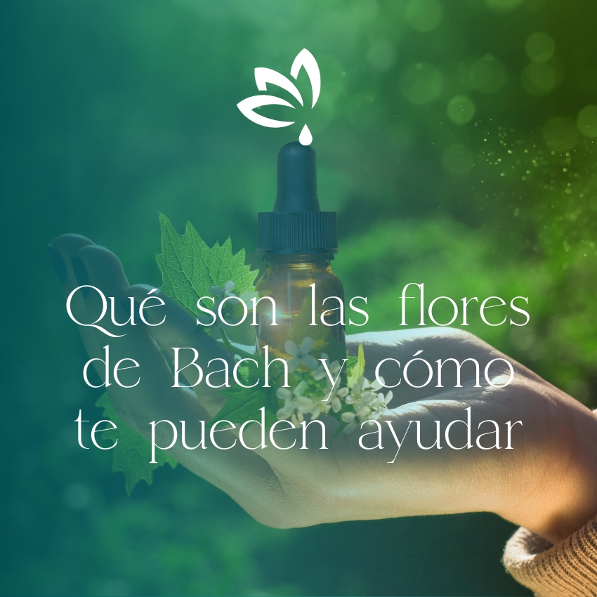 Qué son las flores de Bach y cómo te pueden ayudar