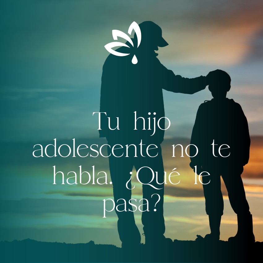 Tu hijo adolescente no te habla. ¿Qué le pasa?