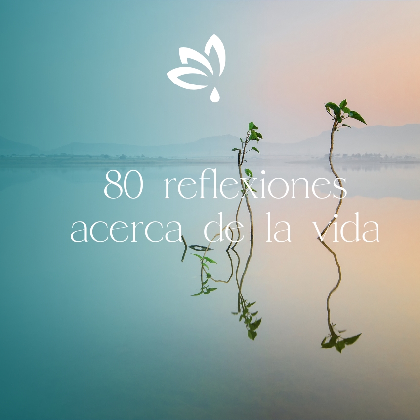 80 reflexiones de la vida